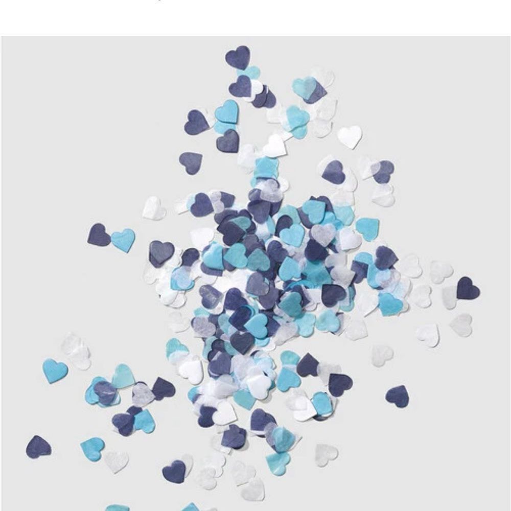 Draper James Heart Confetti in Blue and White set of 2 new